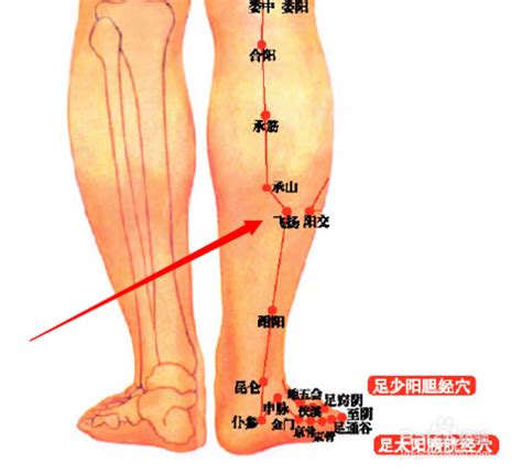 飛揚穴位置|醫砭 » 經穴庫 » 飛揚